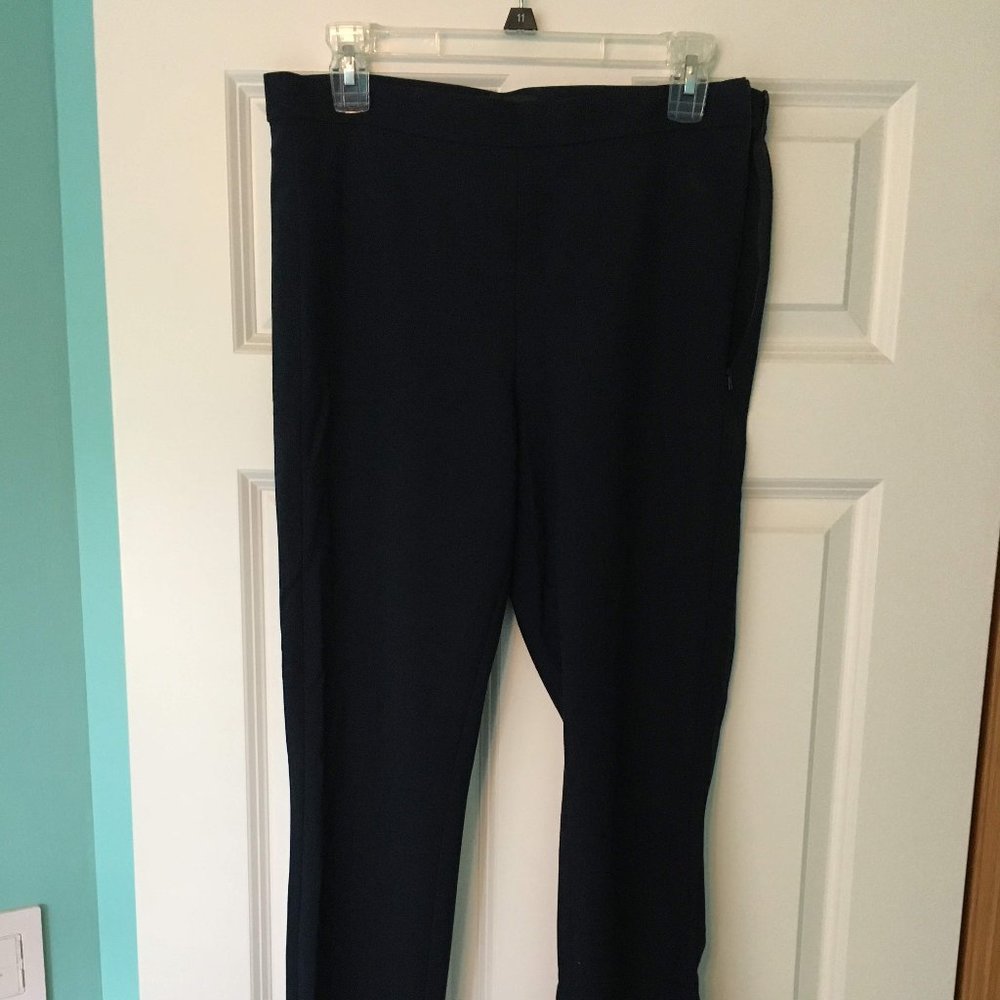 Banana Republic Navy Dress Pants